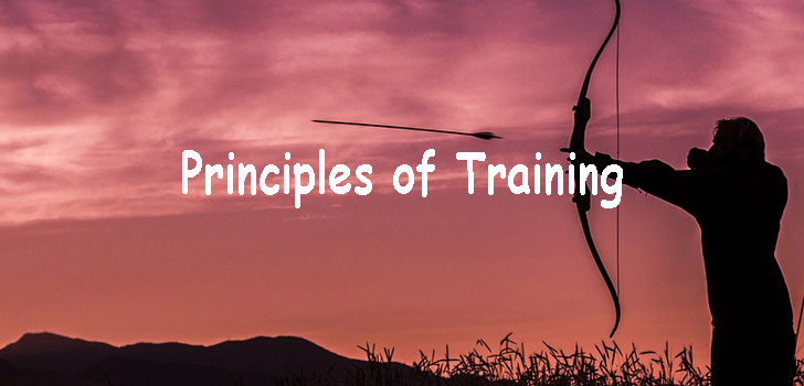 principles of training